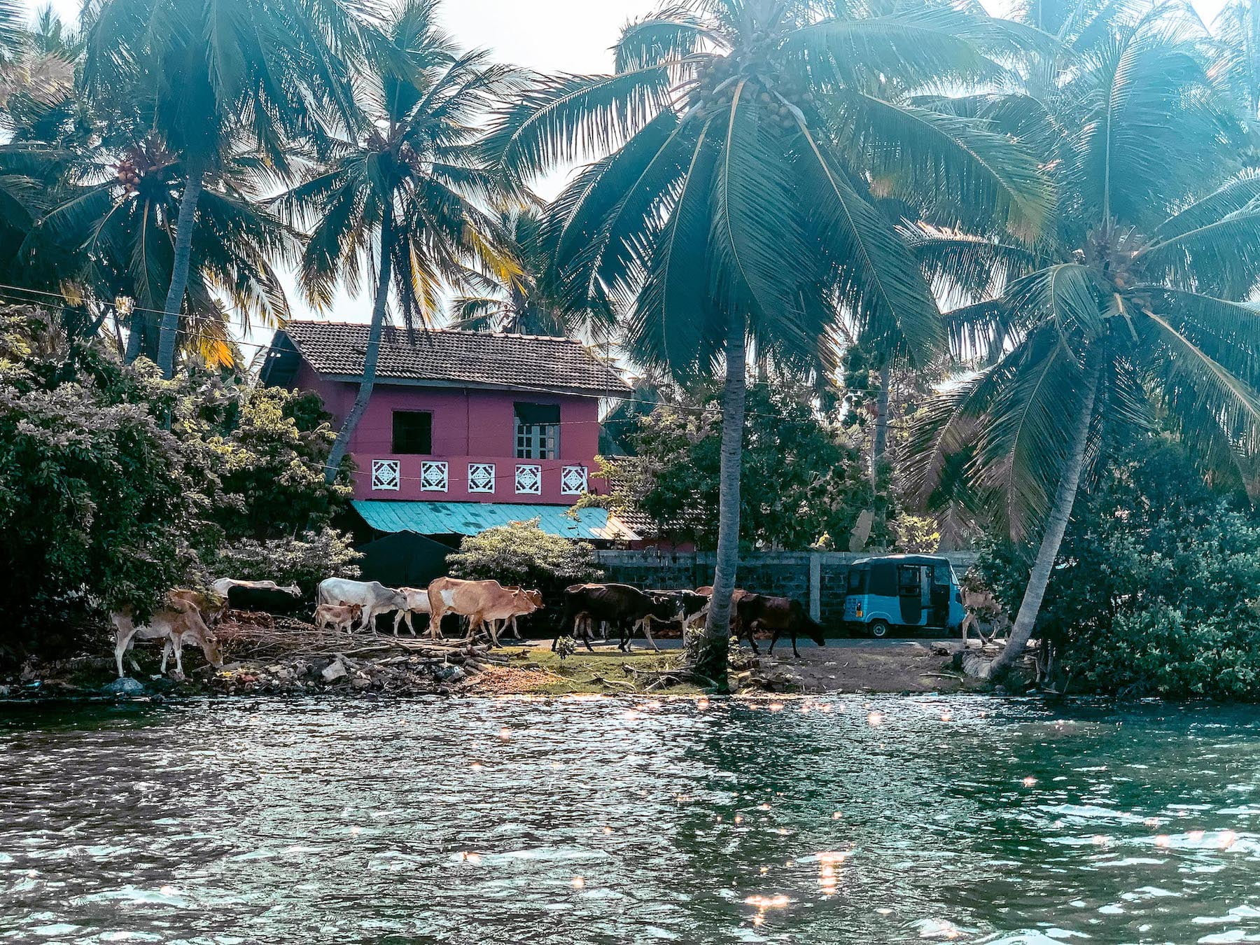 lagune-de-batticaloa-au-sri-lanka-2 50 voyages de reves